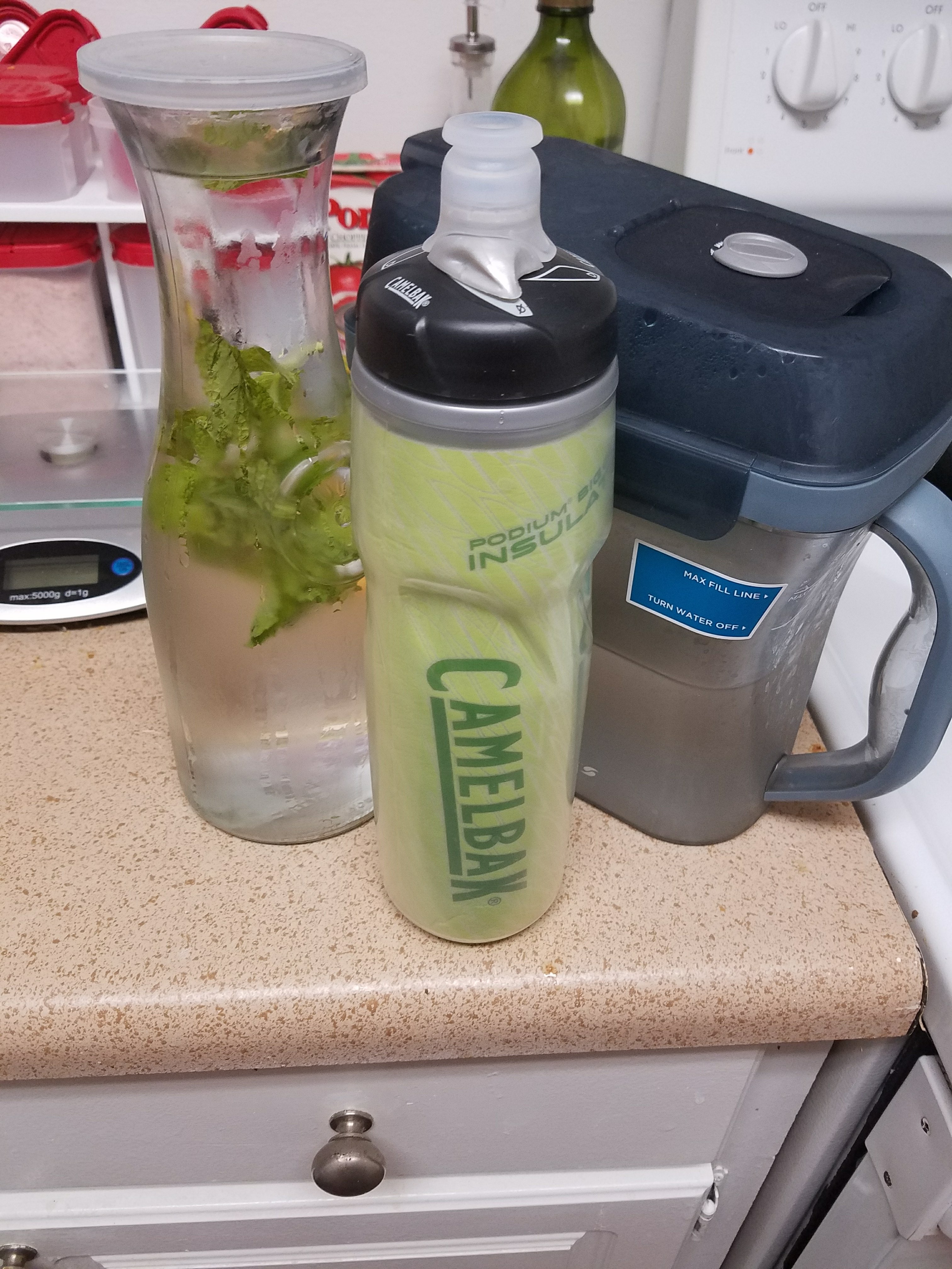 water filter picture glass carafe with fresh mint leaves camelbak water bottle